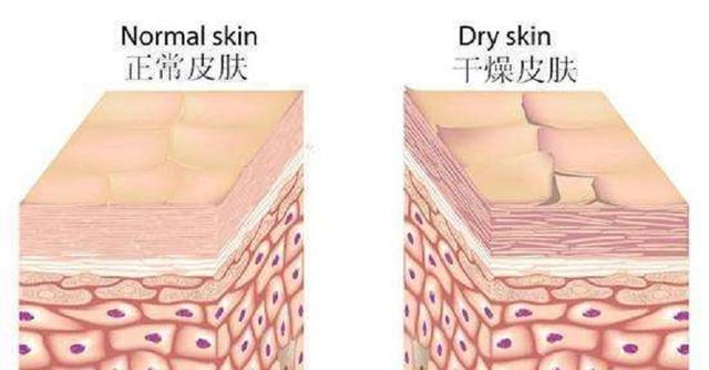 焕发肌肤弹嫩质感，蛋蛋面膜效果怎么样