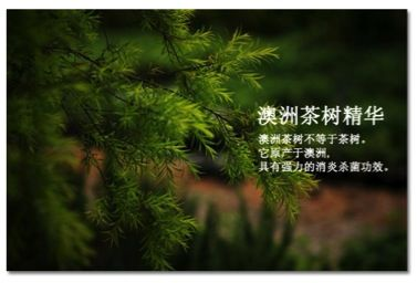 馨漫之舍 祛痘修复精华乳——打造水润健康美肌