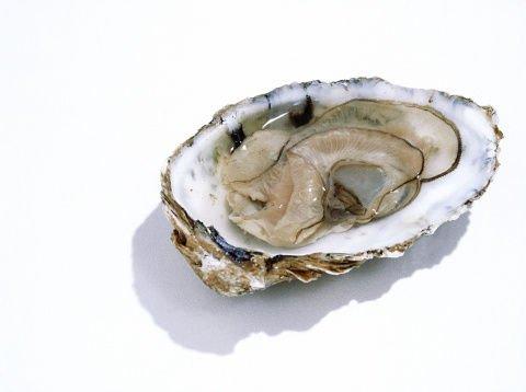 【防脱发食疗有用吗？】这13种超级食物有助解决脱发问题
