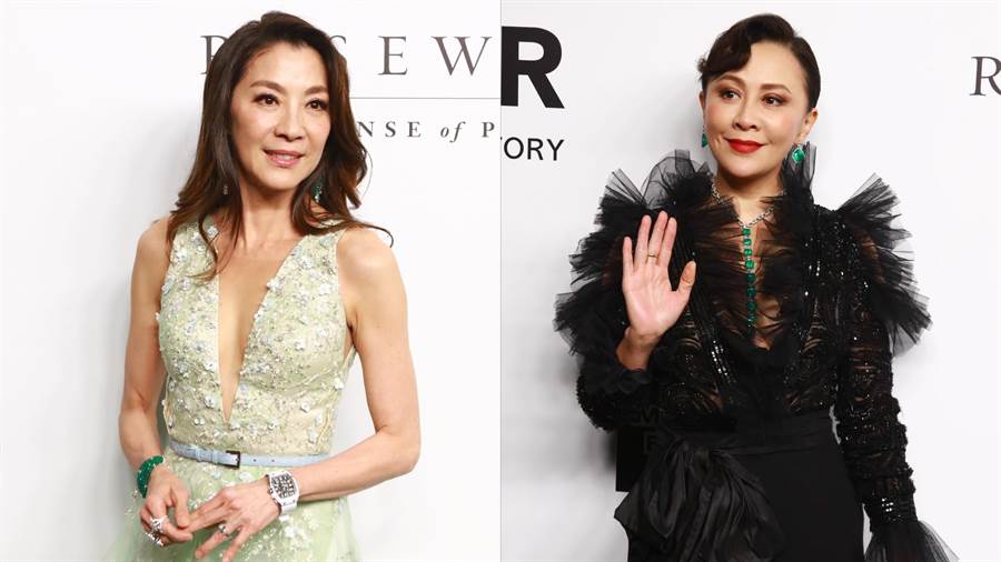 刘嘉玲羽毛装低调极限挑战杨紫琼深V抹胸礼服