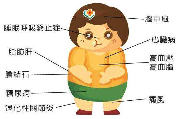 依一双美维密体雕|以至高标准，雕琢诱惑曲线