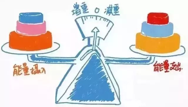 变啦：看得见的瘦身之旅
