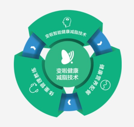 变啦金三角，减脂好助手