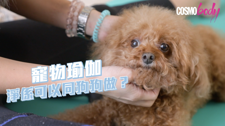 【宠物瑜伽 Part 2】一个动作练出人鱼线？宠物瑜伽让狗狗陪你在家锻炼核心肌肉