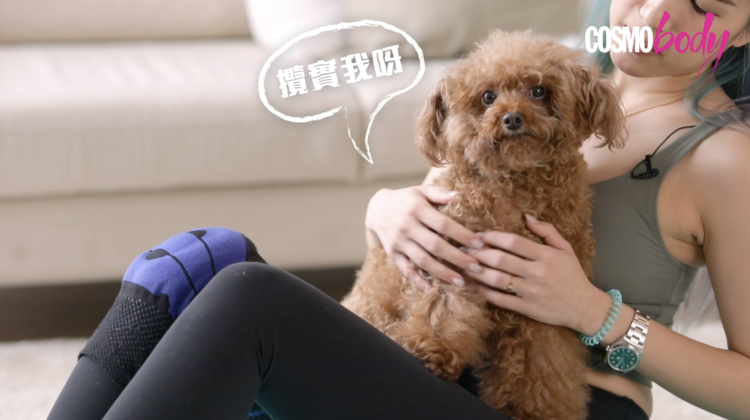 【宠物瑜伽 Part 2】一个动作练出人鱼线？宠物瑜伽让狗狗陪你在家锻炼核心肌肉