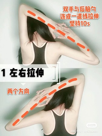 赵丽颖零赘肉“蝴蝶背”登热搜勤做“瘦背5招”你也能办到