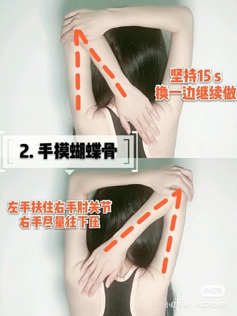 赵丽颖零赘肉“蝴蝶背”登热搜勤做“瘦背5招”你也能办到