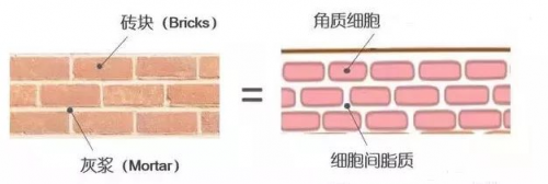 【械】字号舒润修护精华——修敷特SOS特护小飞机