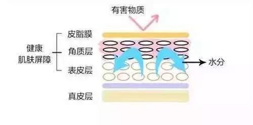 【械】字号舒润修护精华——修敷特SOS特护小飞机